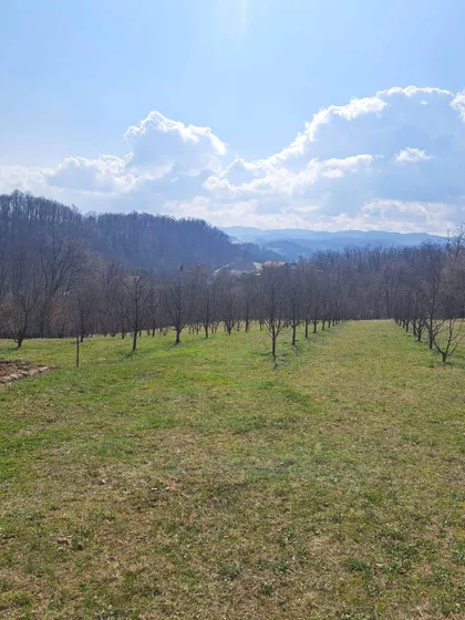 Valjevski Put | 4zida.rs