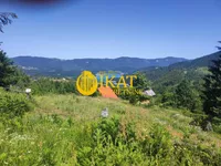 Zaovine, Tara | 4zida.rs