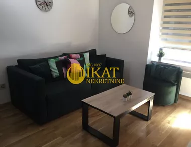 Dr Dragoslava Zeke Smiljanića