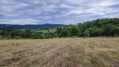 Živote Panića | 4zida.rs