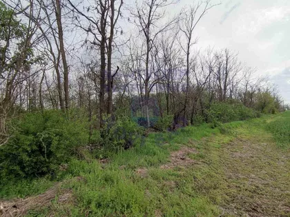 Pejićevi Salaši | 4zida.rs