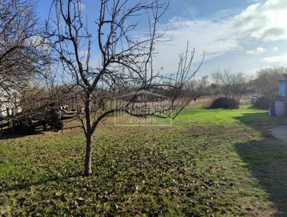 Makova Sedmica | 4zida.rs