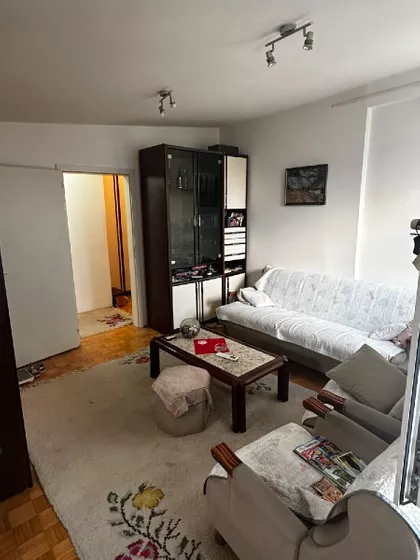 Spasenije Cane Babović 1 | 4zida.rs
