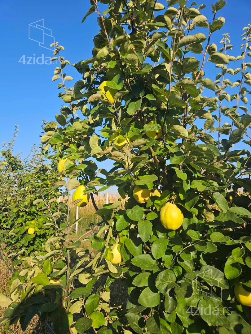 Poljoprivredno zemljište | 4zida