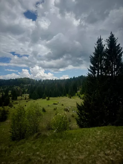 Sekulic | 4zida.rs