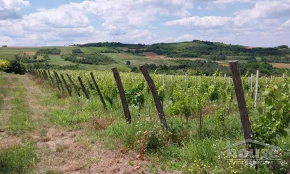 Banoštor | 4zida.rs