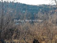 Sremska Kamenica
