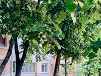 Meandri, Zemun opština, Beograd | 4zida.rs