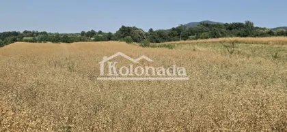 Rogača | 4zida.rs