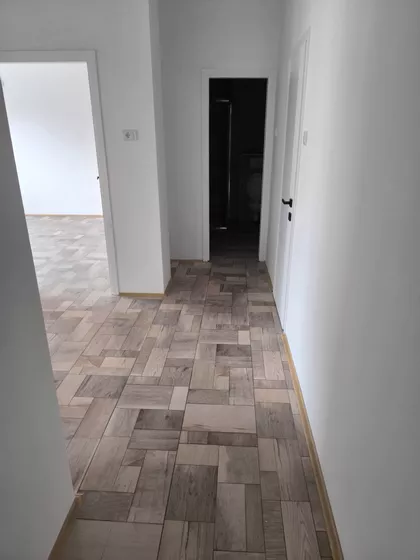 Miše Dimitrijevića | 4zida.rs