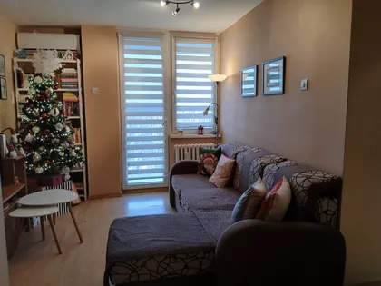 Đure Daničića | 4zida.rs