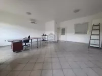 Hala | 4zida
