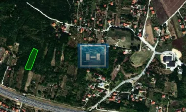 Karađorđevo Brdo