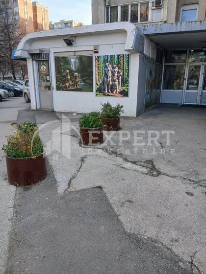 Bulevar Nemanjića | 4zida.rs