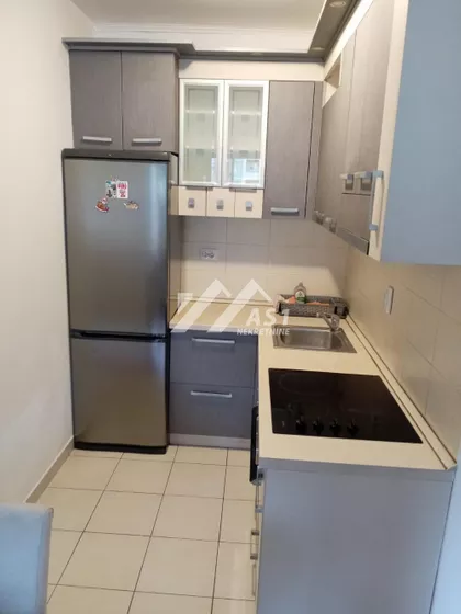 Dr Svetislava Kasapinovića | 4zida.rs