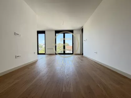 Salajka | 4zida.rs