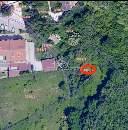 Petra Kralja | 4zida.rs