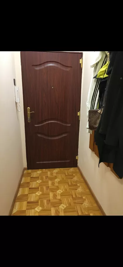Miše Dimitrijevića | 4zida.rs