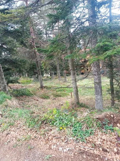 Stražarska | 4zida.rs