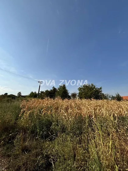 Čortanovci | 4zida.rs