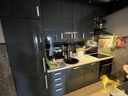 VESELINA MASLEŠE | 4zida.rs