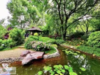 Botanička Bašta, Palilula opština, Beograd | 4zida.rs