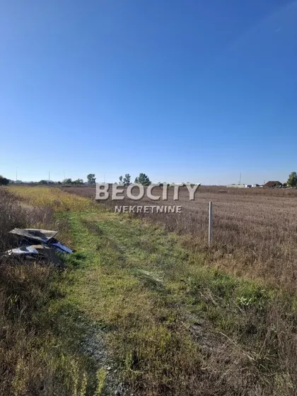 Ane Bedlic | 4zida.rs