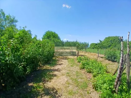 Kovačevac | 4zida.rs