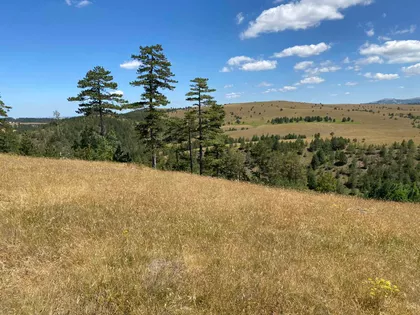 Kobilja Glava | 4zida.rs