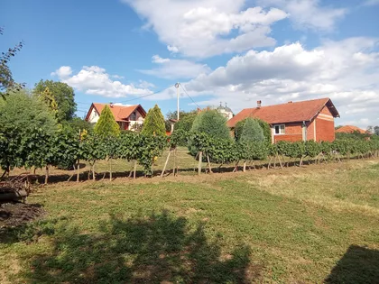 Omladinska 1 | 4zida.rs