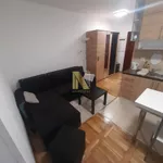 Nova Detelinara, Detelinara, Gradske lokacije, Novi Sad | 4zida.rs | 4zida.rs