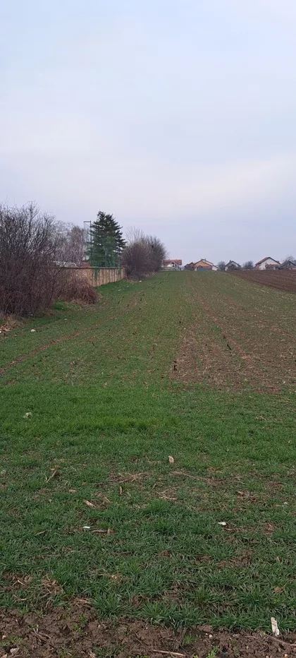 Omladinska | 4zida.rs