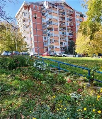 Borivoja Stevanovića