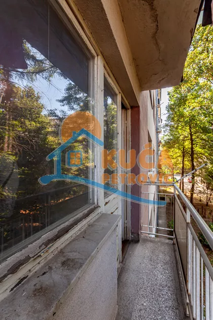 Bulevar dr Zorana | 4zida.rs