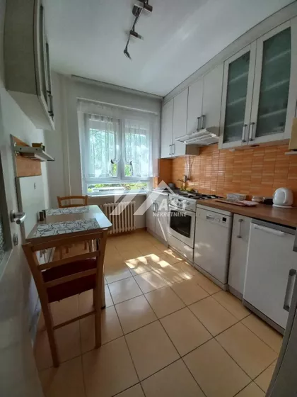 Kaće Dejanović | 4zida.rs