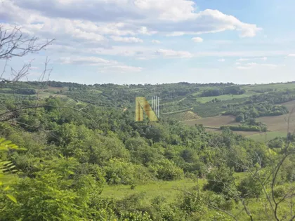 Fruška Gora | 4zida.rs