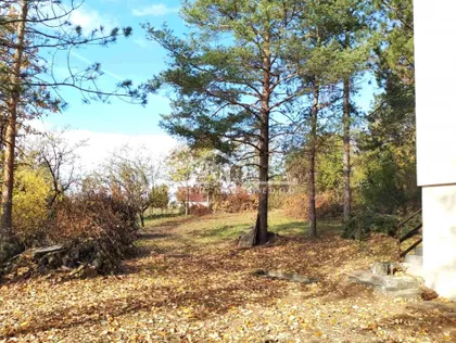 Lipovički put | 4zida.rs