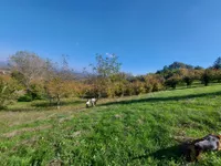 Poljoprivredno zemljište | 4zida