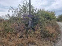 Čortanovci, Okolne lokacije, Inđija | 4zida.rs