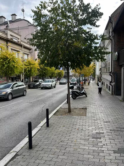Kralja Aleksandra I Karađorđevića | 4zida.rs