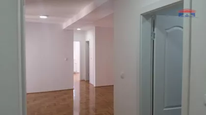 Detelinara | 4zida.rs