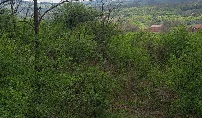 Plac | 4zida