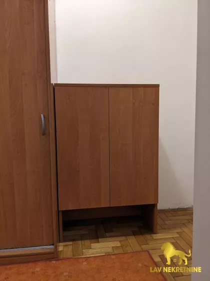 DR SVETISLAVA KASAPINOVIĆA | 4zida.rs