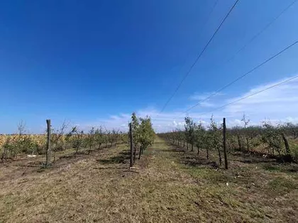 Zrenjanin, Duvanika | 4zida.rs