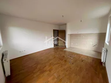 Đure Daničića