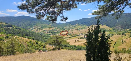 Jablanički Put 5 | 4zida.rs