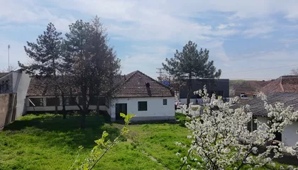 Srbobranska 50 | 4zida.rs
