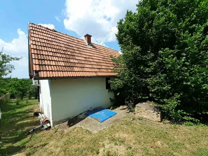 Petrovaradin | 4zida.rs