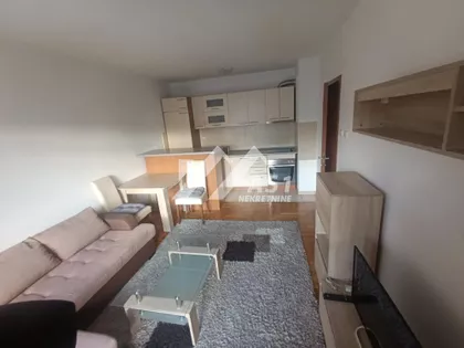 Dr Svetislava Kasapinovića | 4zida.rs