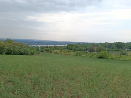Slankamenački Vinogradi | 4zida.rs